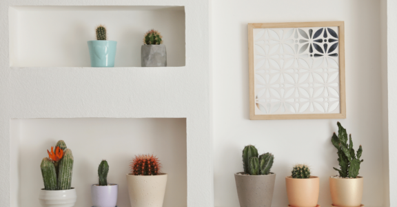 Cactus sur des étagères blanches ; décor géométrique en verre.